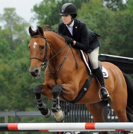 Toko Perlengkapan Berkuda